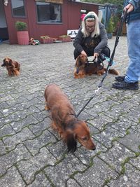 Despina, ihr Sohn H&uuml;on und Wilma haben die Langhaar pr&auml;sentiert